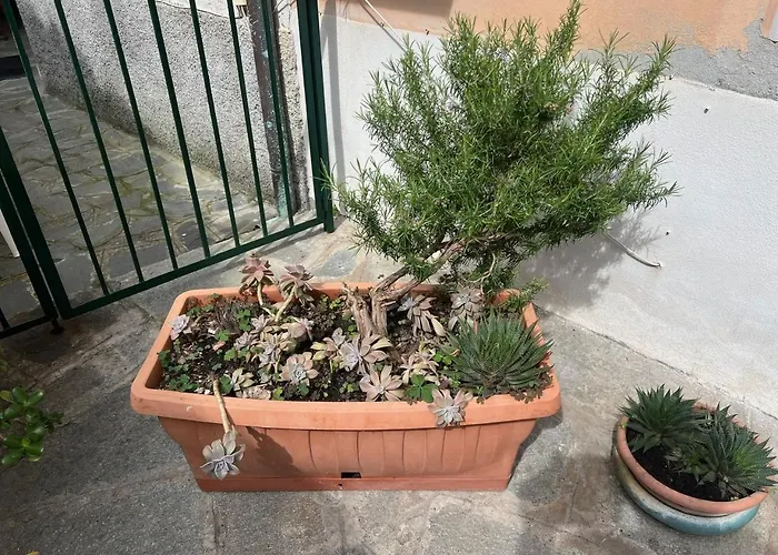 Vicino Al Mare Apartman *