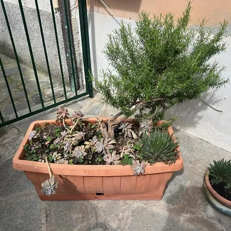 Vicino Al Mare Apartmán *